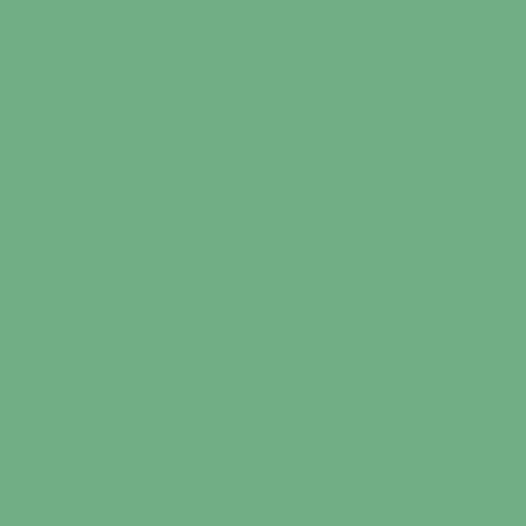 B@BY FOREST GREEN Ver. 100％ &amp; 400％ Summer Forest Green Hex Color (Shades & Complementary Colors)