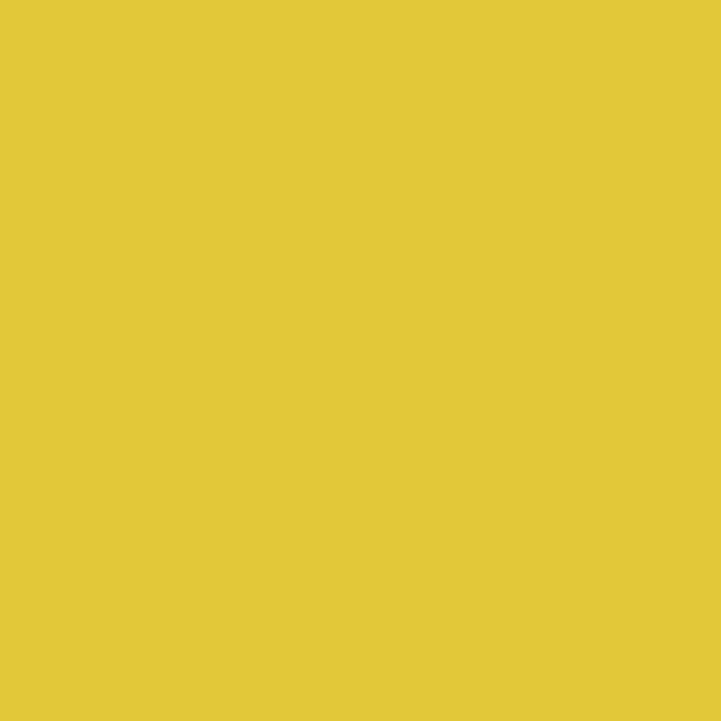 357 Yellow Hibiscus