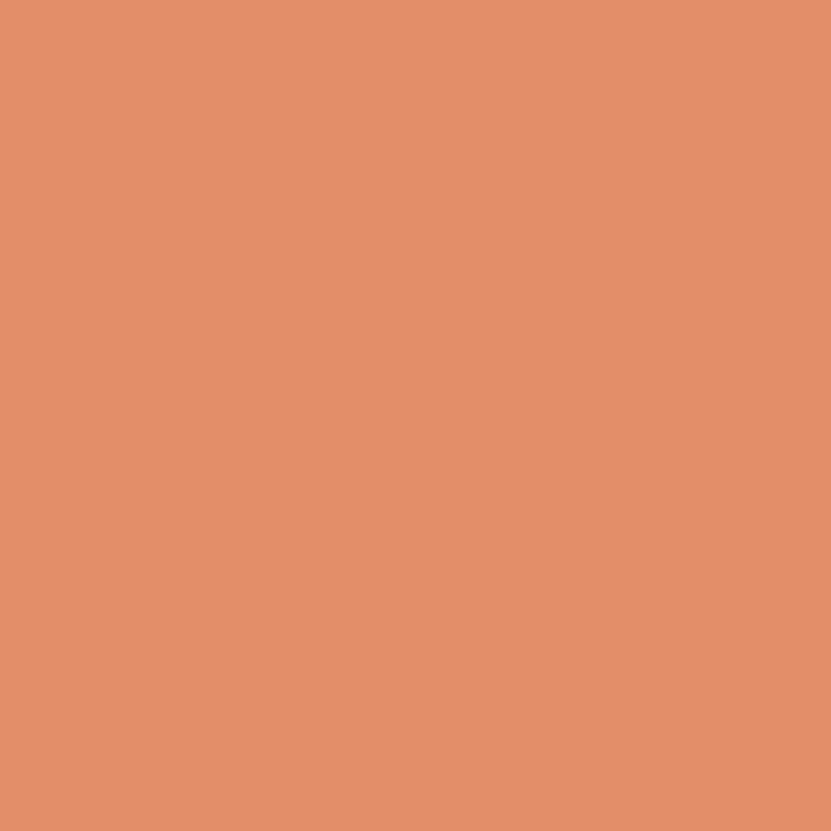 075 Flamingo Orange - Paint Color | Bay City Paint & Wallpaper